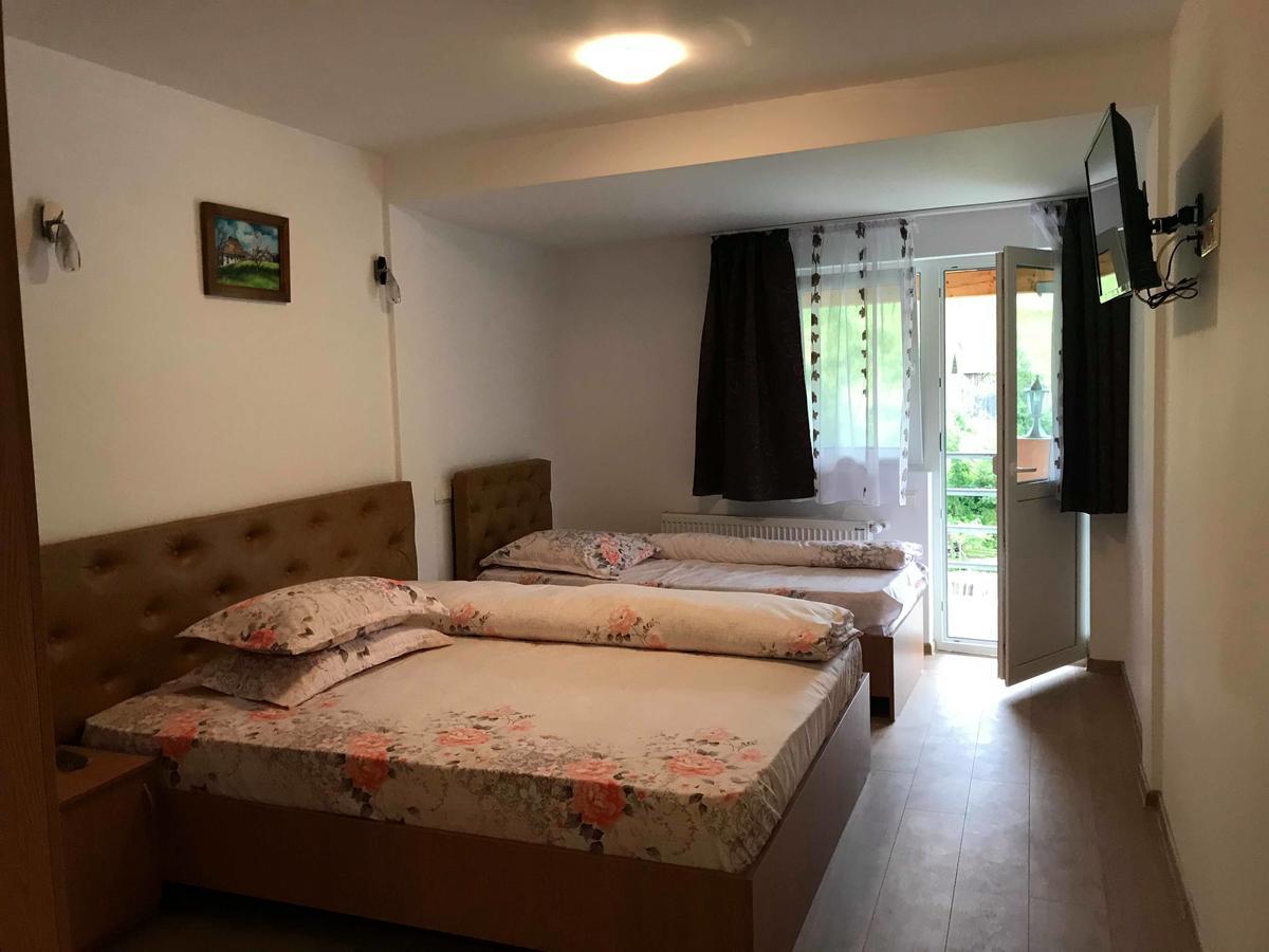 Pensiunea Colt De Rai Săcel Exterior foto