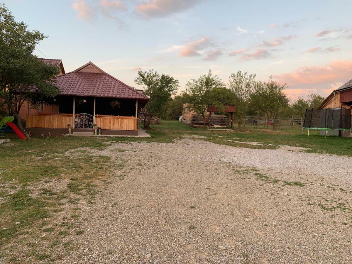 Pensiunea Colt De Rai Săcel Exterior foto
